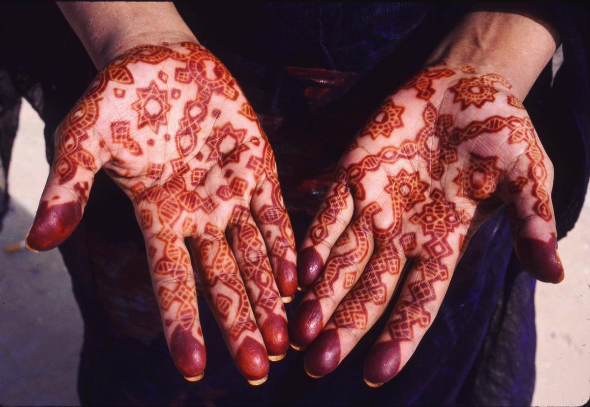 Une Muse tweet media