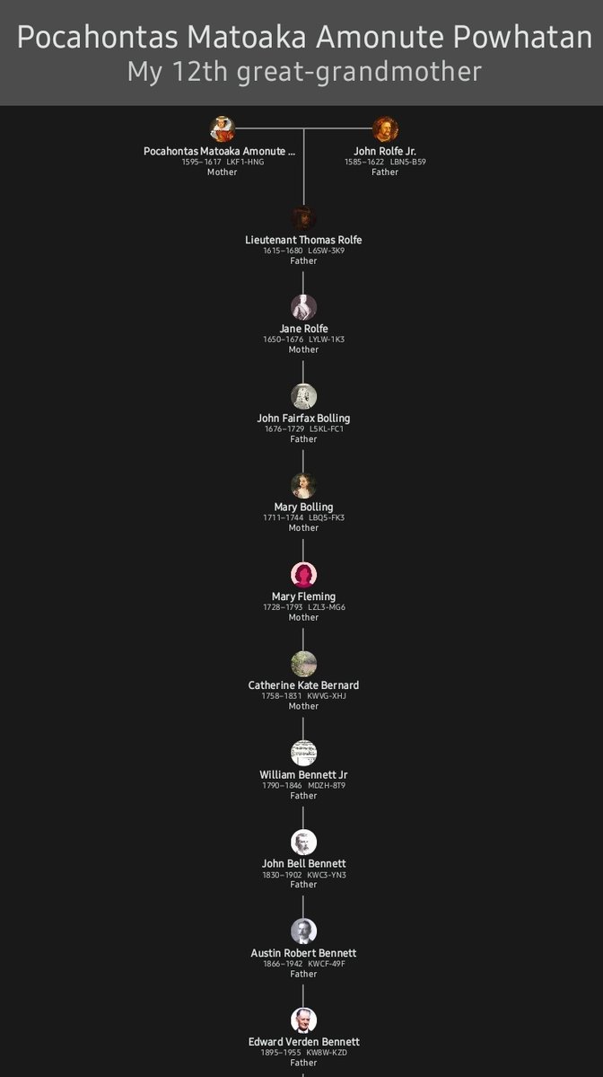 Schventagon tweet media