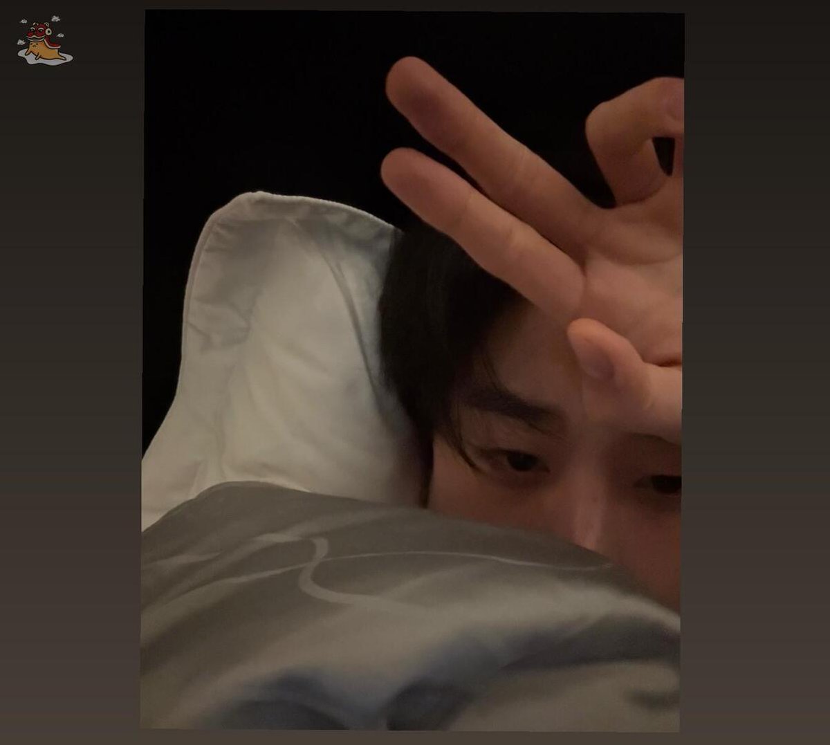 SOC-IE 💛 ˚☽˚.⋆ tweet media