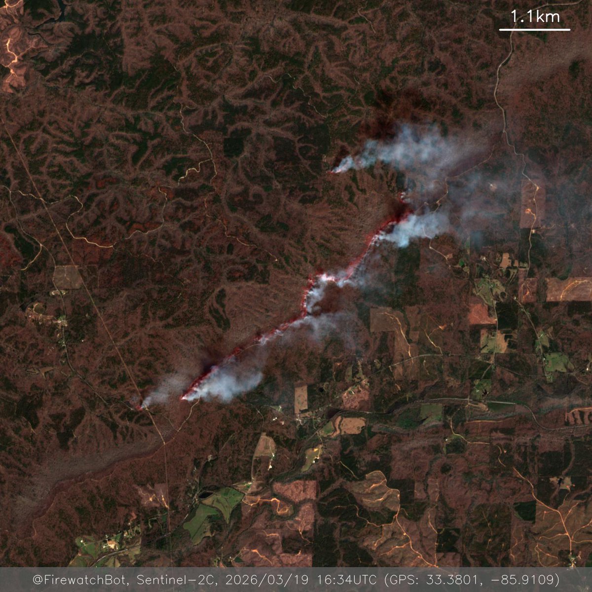 Firewatch Bot 🤖 tweet media