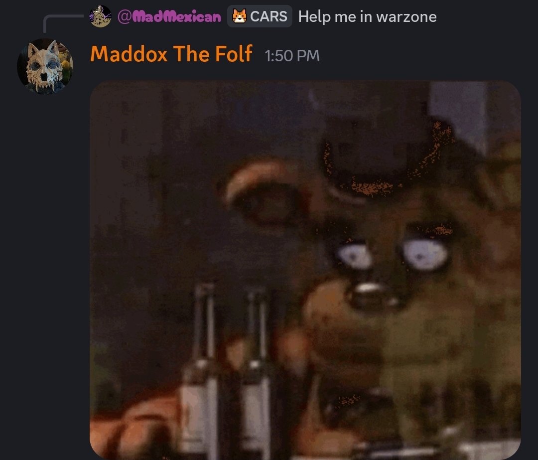 Maddox The Folf tweet media