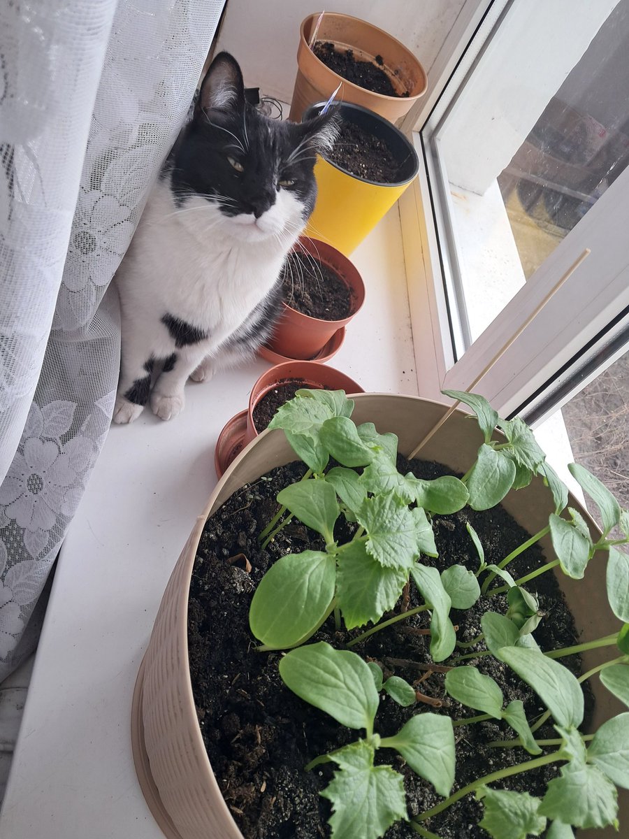 Рієн tweet media