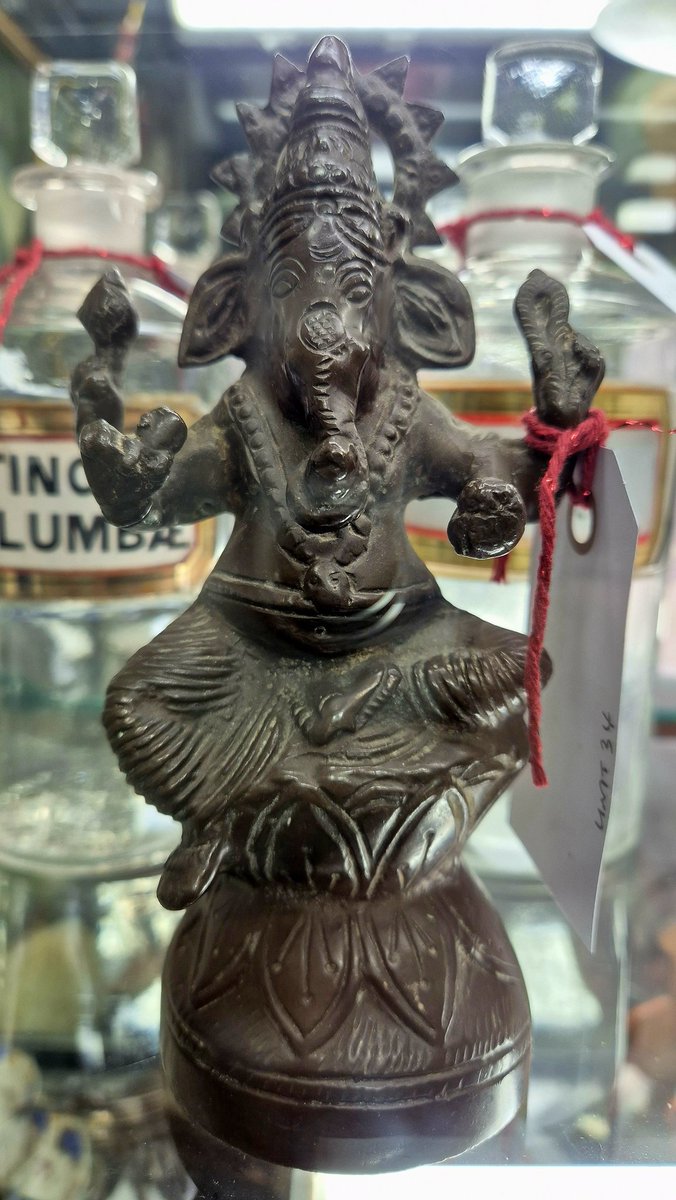 Books Landscape Magic tweet media