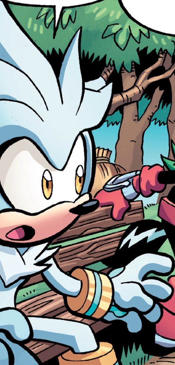 Daily Silver 🍉 tweet media