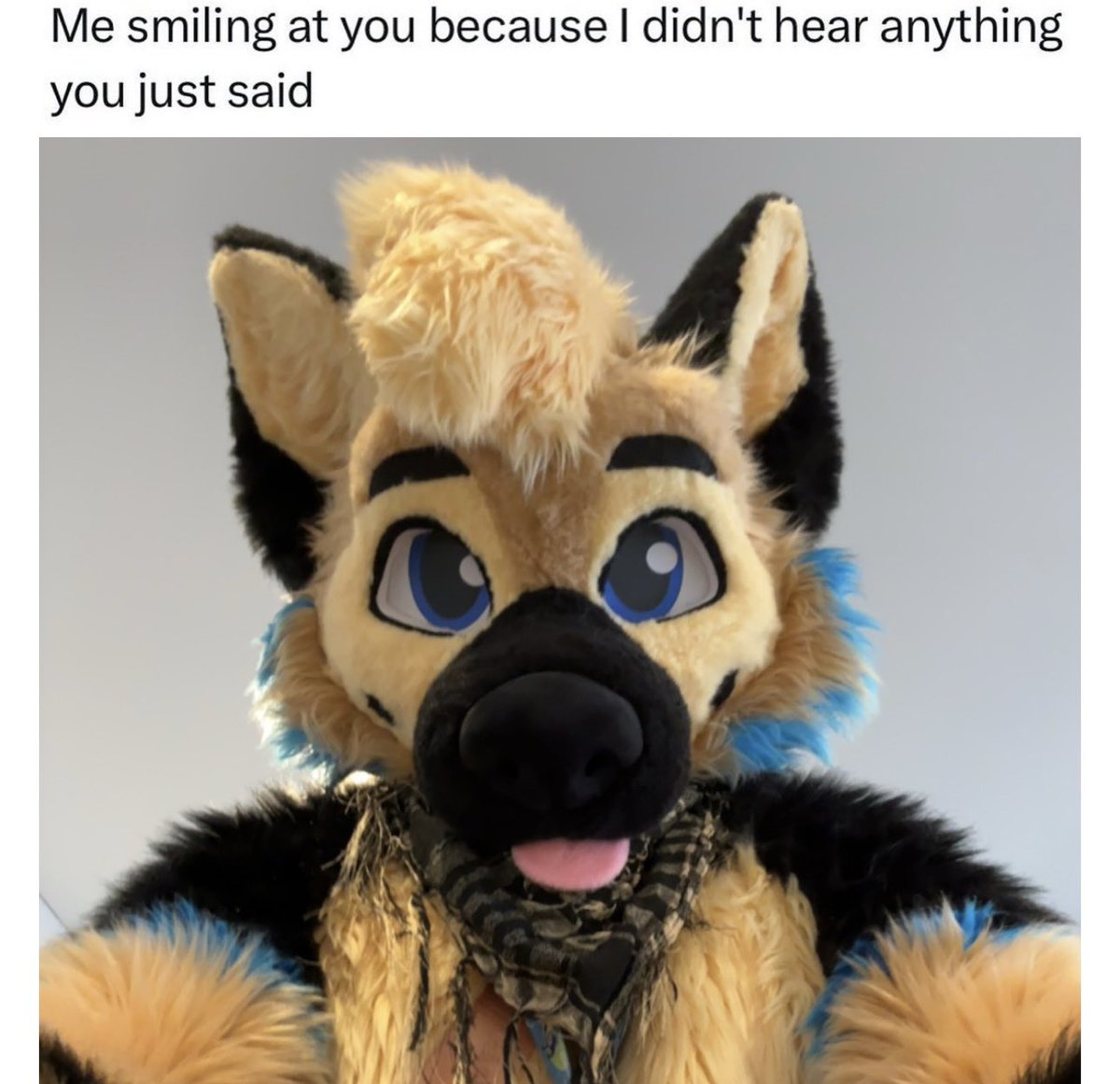 ranger 🐶 tweet media