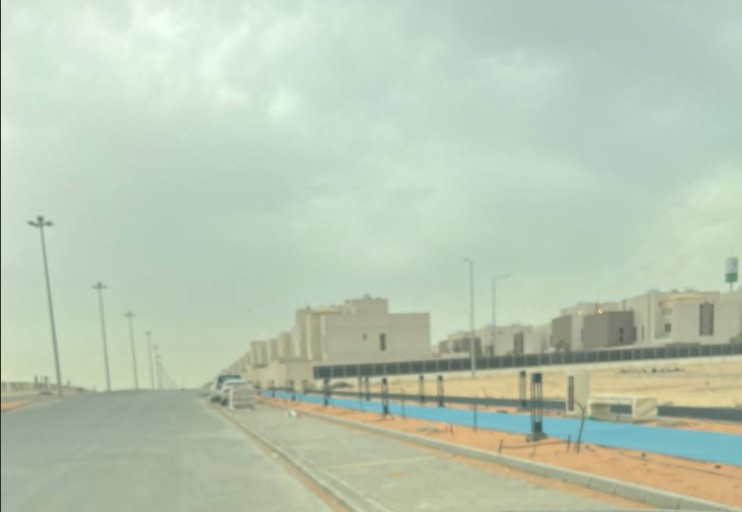 علي العمار tweet media