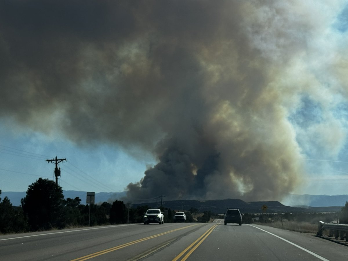 Paul Muad’Dib tweet media