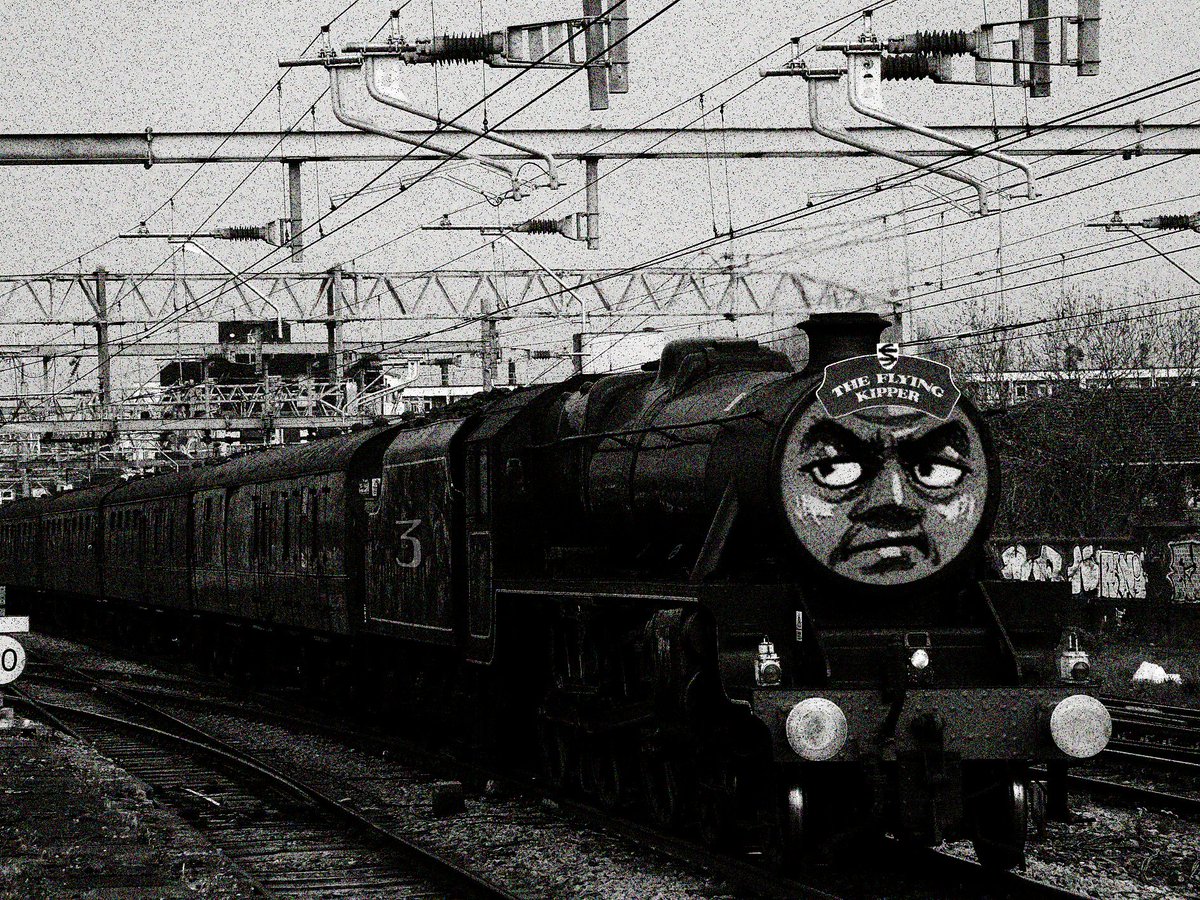 Liam™️ tweet media