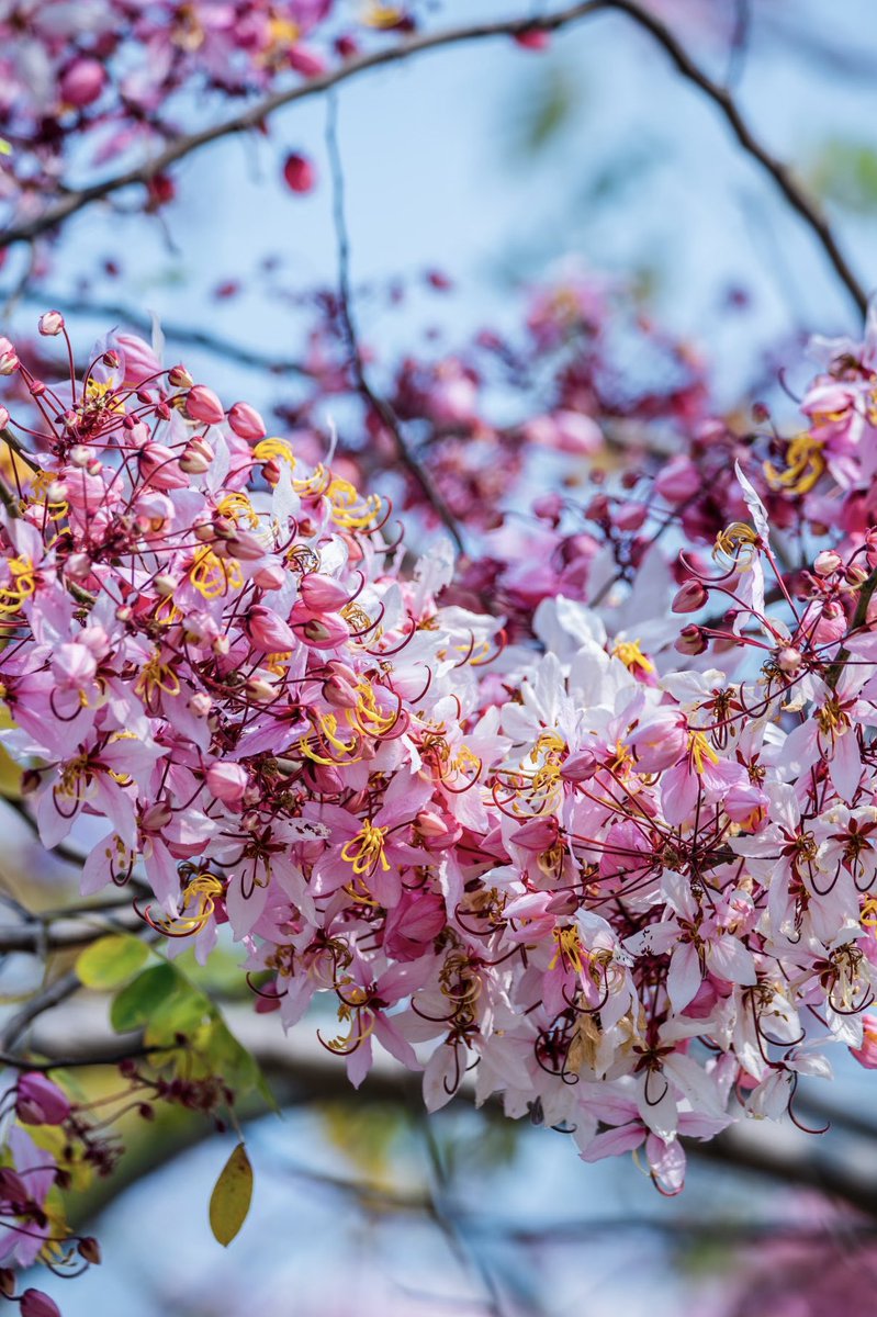 Yuki（互fo互赞） tweet media