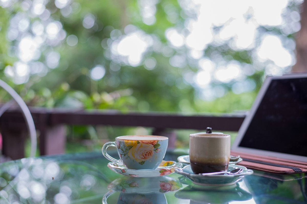 Николай Куракин tweet media