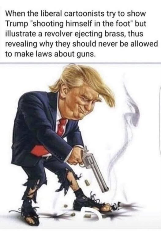 D.L. Campanile tweet media