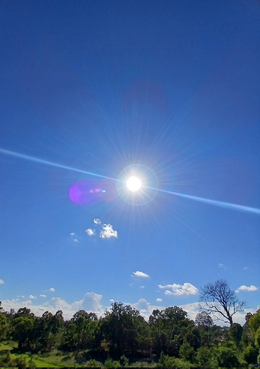 B L A D E R U N N E R tweet media