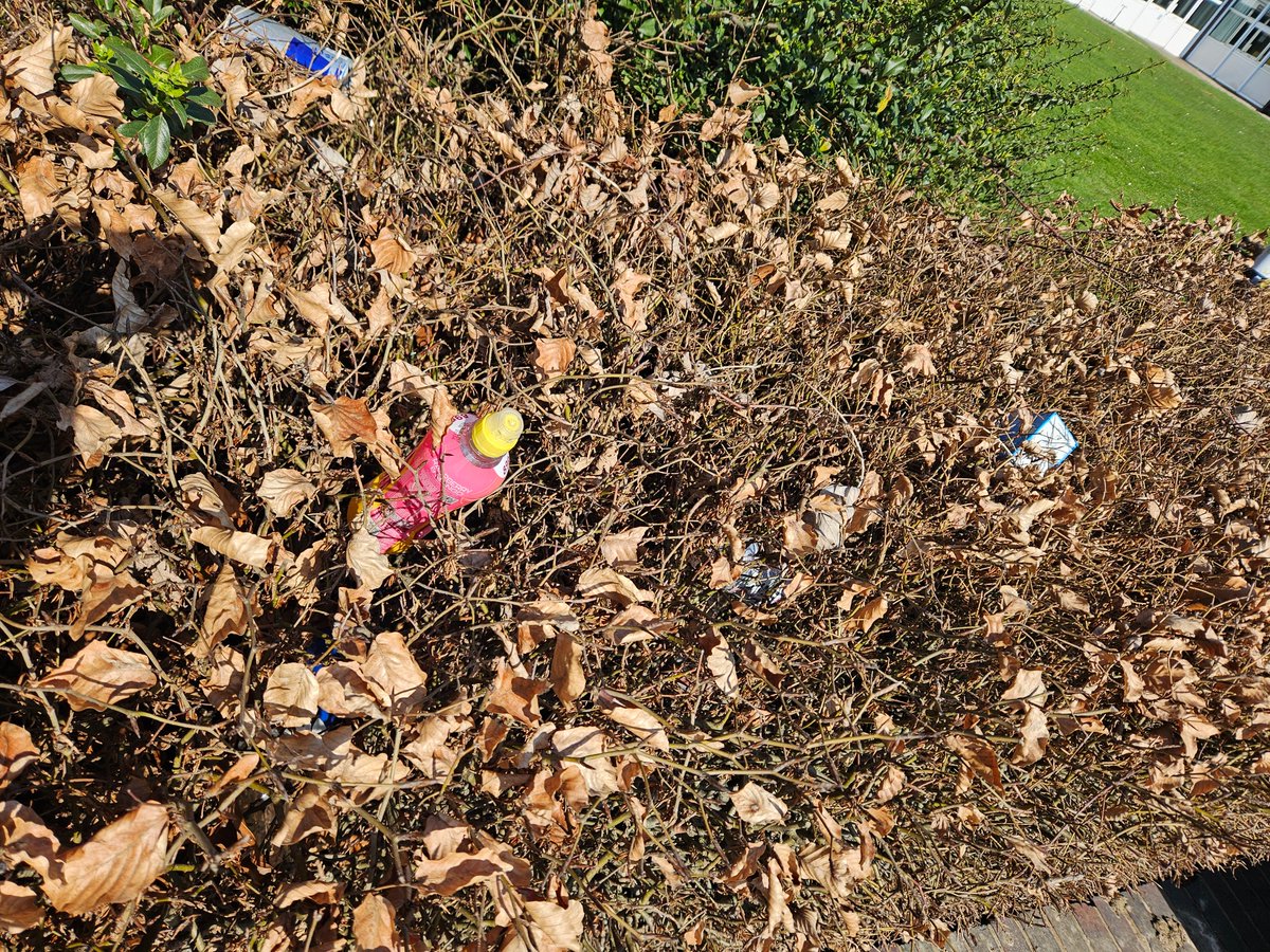 Discover Welling tweet media