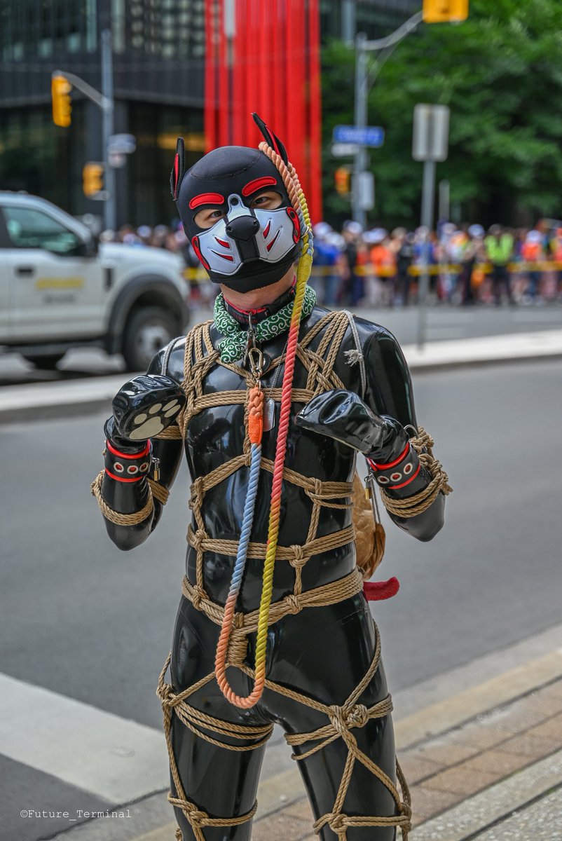 Jarry, good boy ver. 📸 @ FE 🔜 LVFC/RopeCraft/AC tweet media