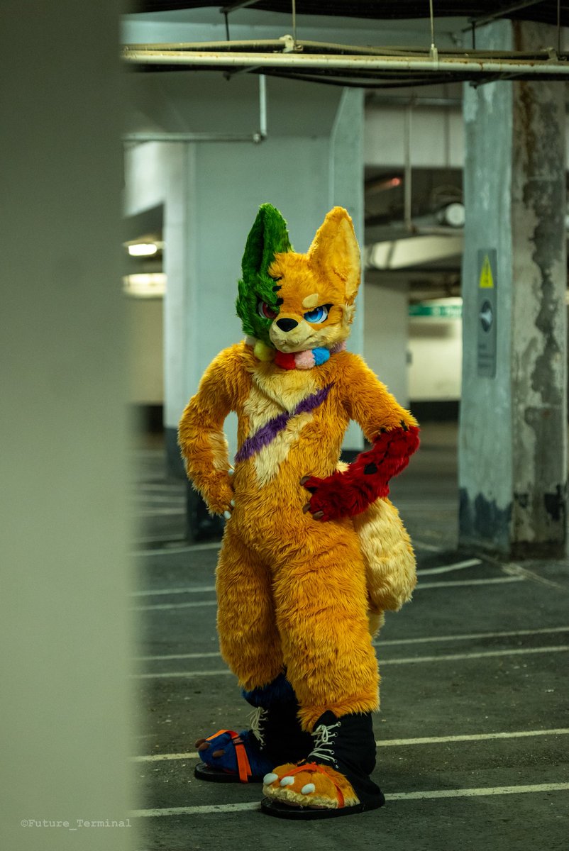 Jarry, good boy ver. 📸 @ FE 🔜 LVFC/RopeCraft/AC tweet media