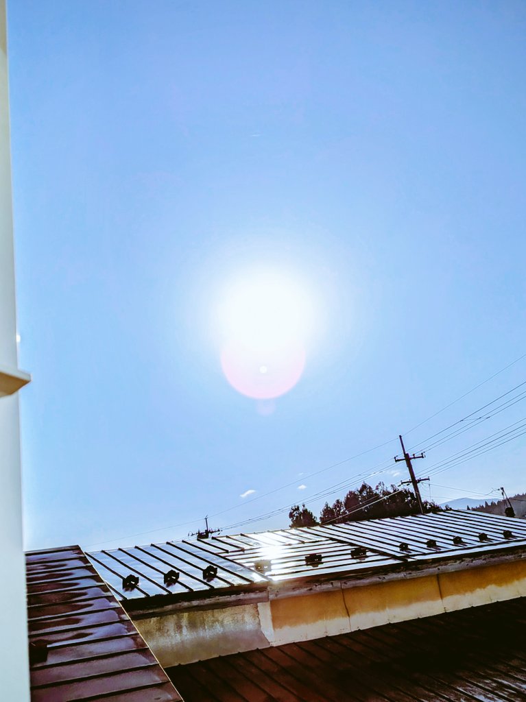 おはようございます☀️.°

     穏やかな金曜日と
          なりますように・・・ਏਓ ｡ ﾟ