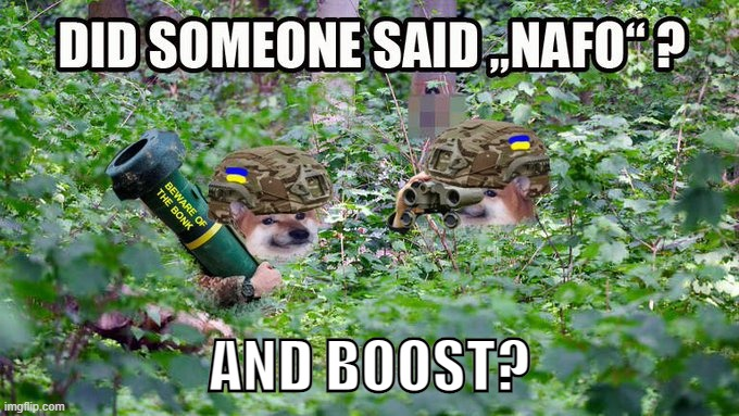 Cat Lady Fella 🇺🇸🇺🇦🇬🇧🏴󠁧󠁢󠁷󠁬󠁳󠁿🇮🇱🦩🐈 tweet media