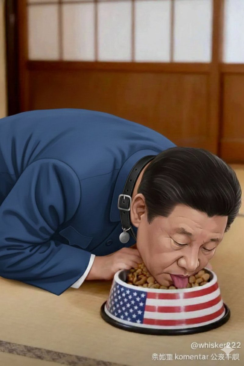 Sammy2452 tweet media