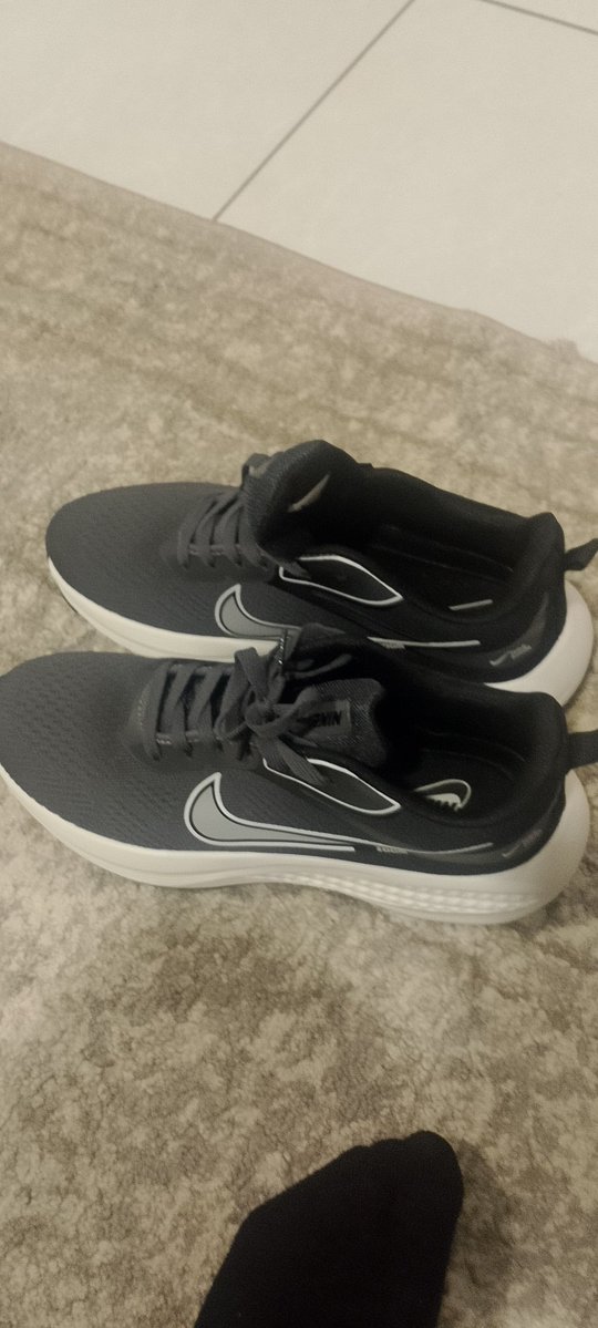 رائد المطيري the king of Thornes tweet media