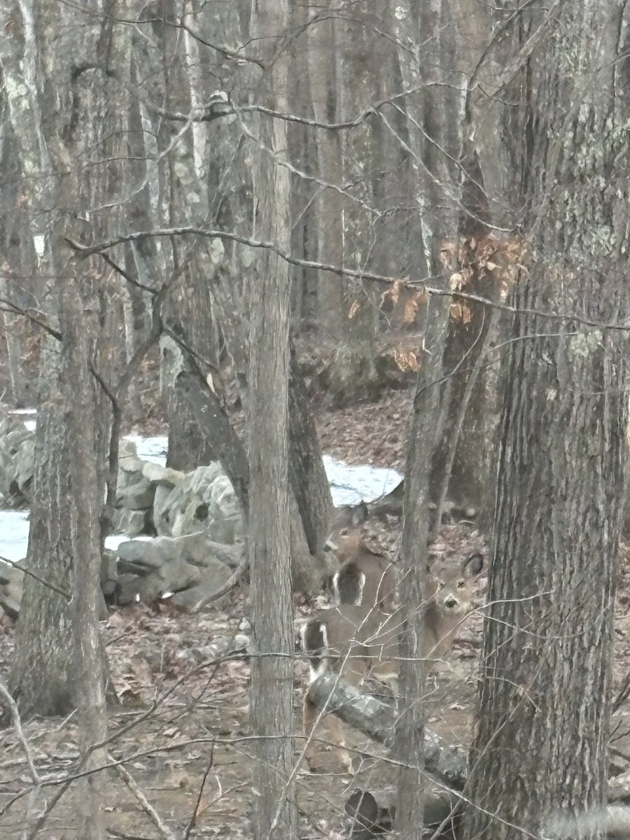 Professor Doctor Ava, INTRO TO GR1NDOLOGY tweet media