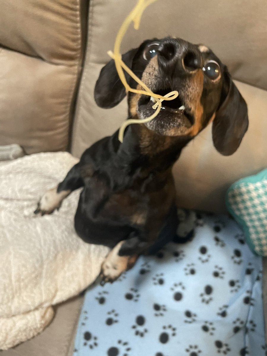 Karls (legally baby) tweet media