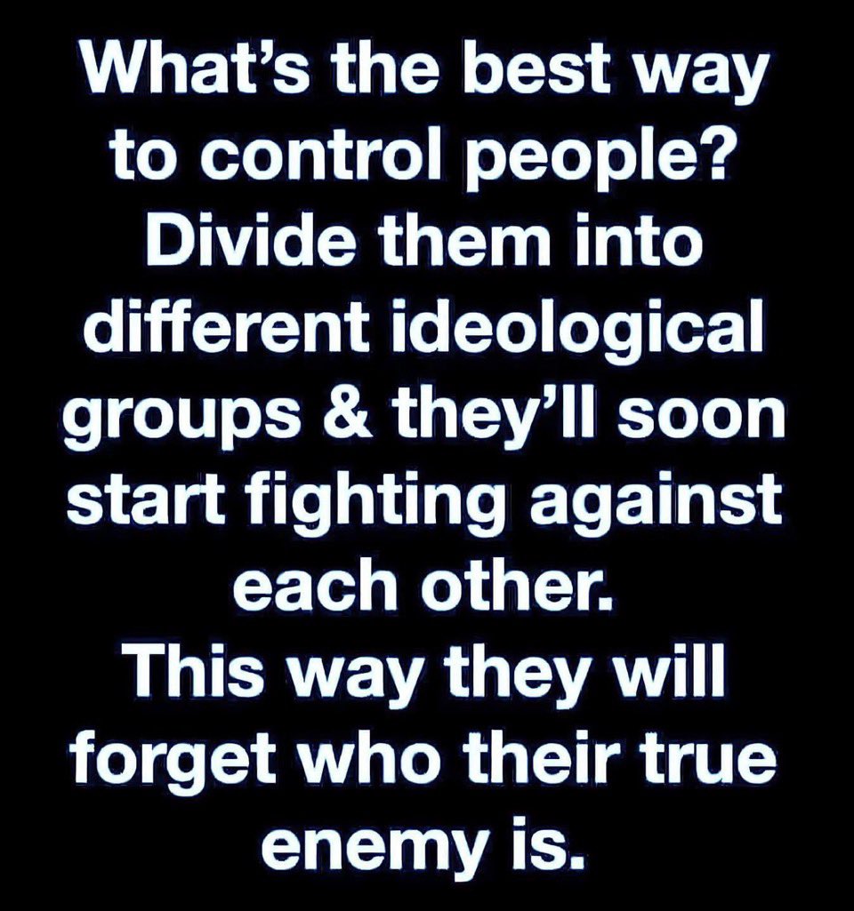 🧬Maxpein🧬 tweet media