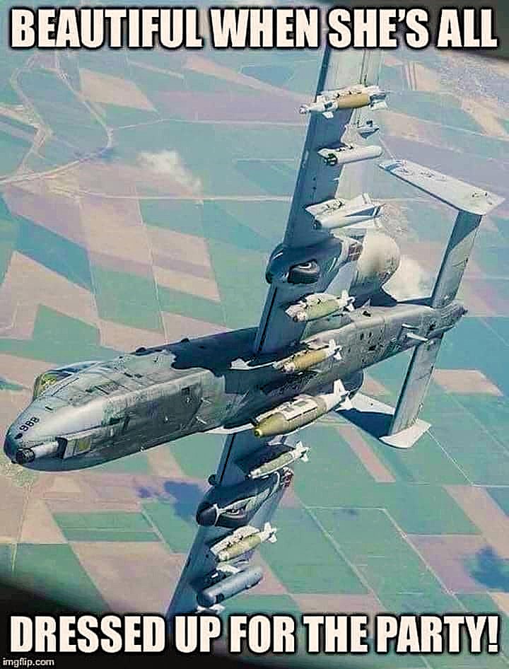 Buck1776 tweet media