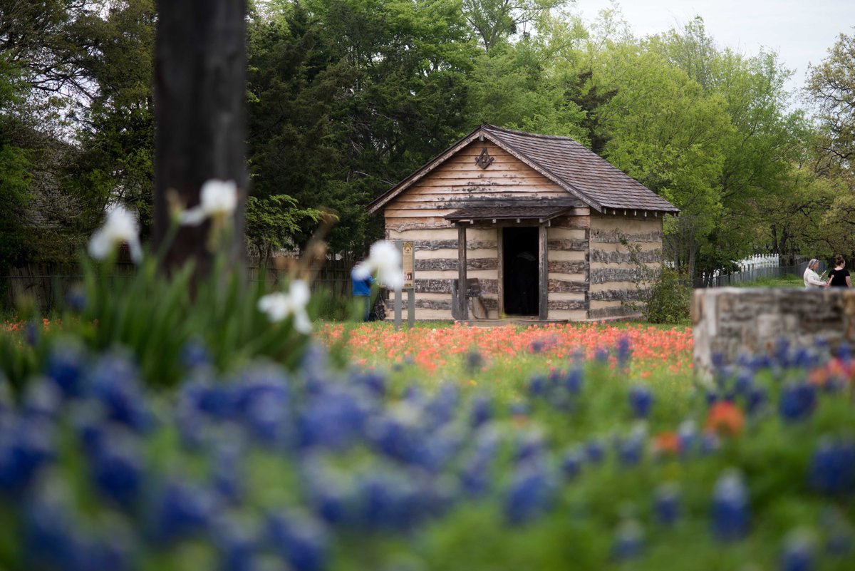 bvmuseum's tweet photo. Join us this Saturday, at the Boonville Heritage Park, 10 am to 2 pm for our free annual Wildflower Day!  It will be a beautiful day to enjoy the park and flowers; visit with artists offering painting tips; and try your own hand at painting!  https://t.co/vnytraDvsu https://t.co/NjZfxCXEWj