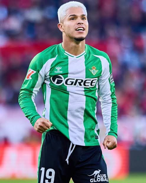 manquepierda tweet media