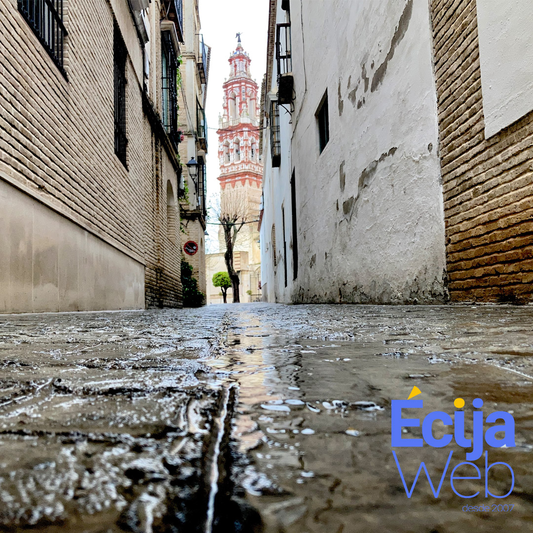 EcijaWeb tweet media