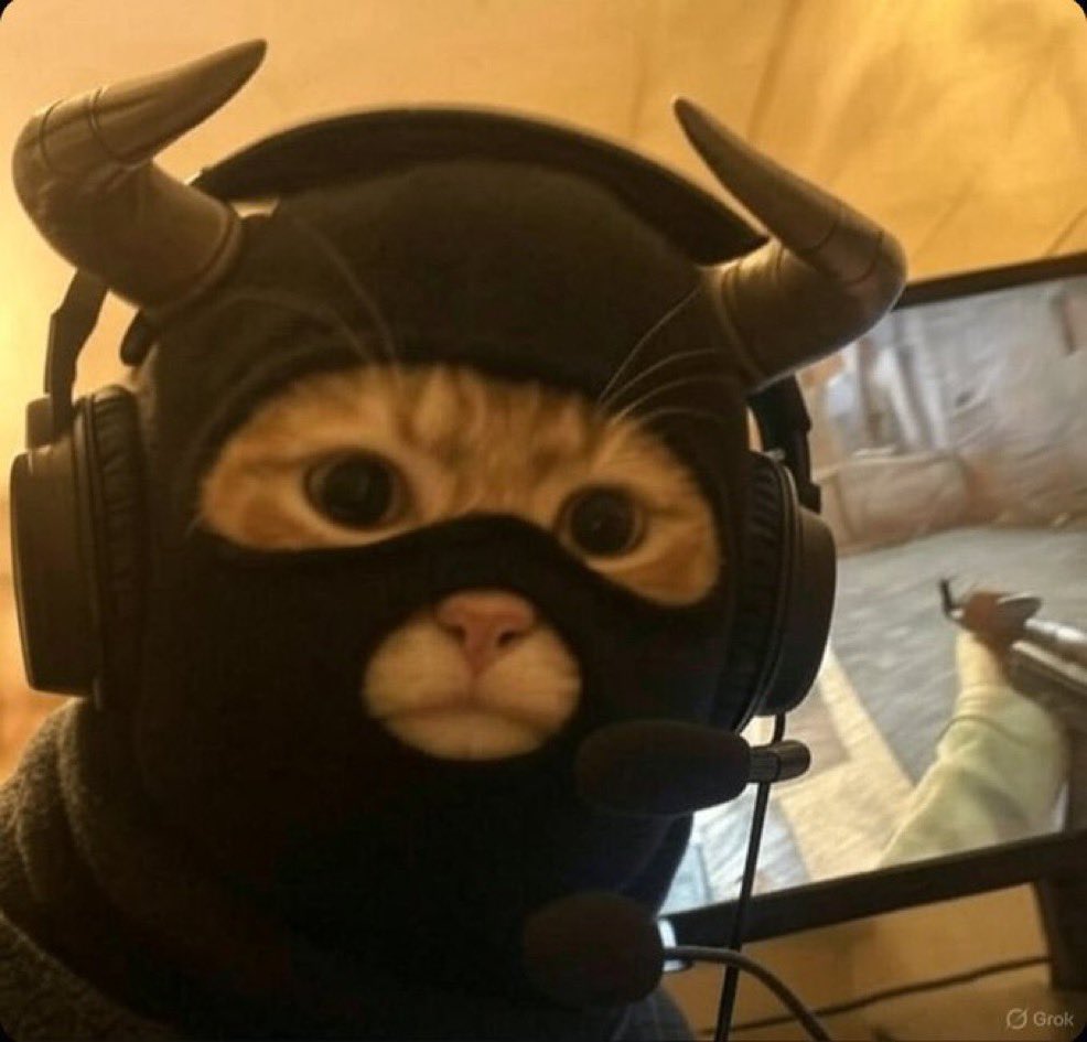 SolanaShinigami🥷🏽😹 🇲 🇦 🇸 🇰 tweet media