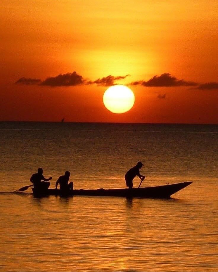 B.I.B.S 💥🐝 tweet media