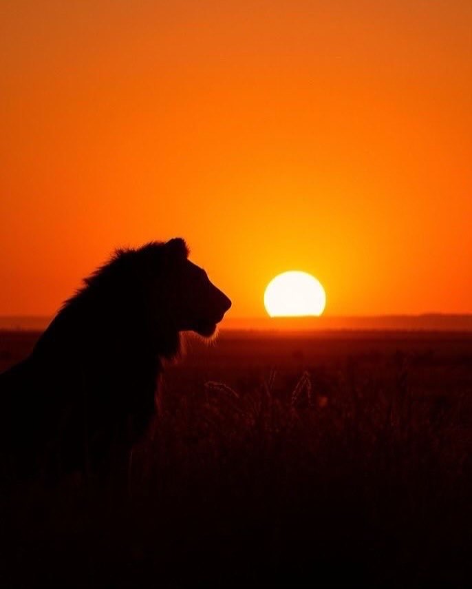 B.I.B.S 💥🐝 tweet media