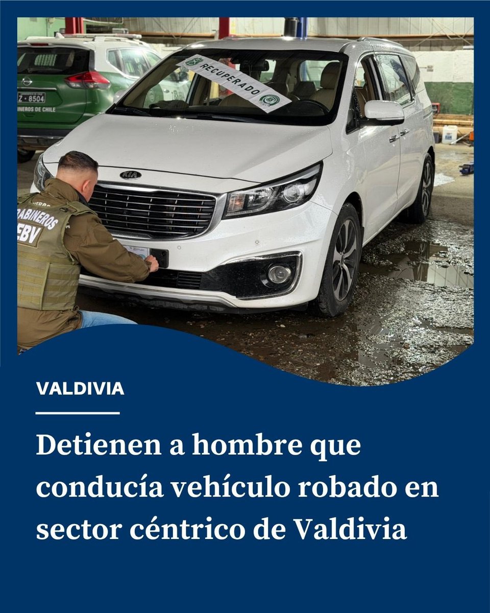 Diario El Ranco tweet media