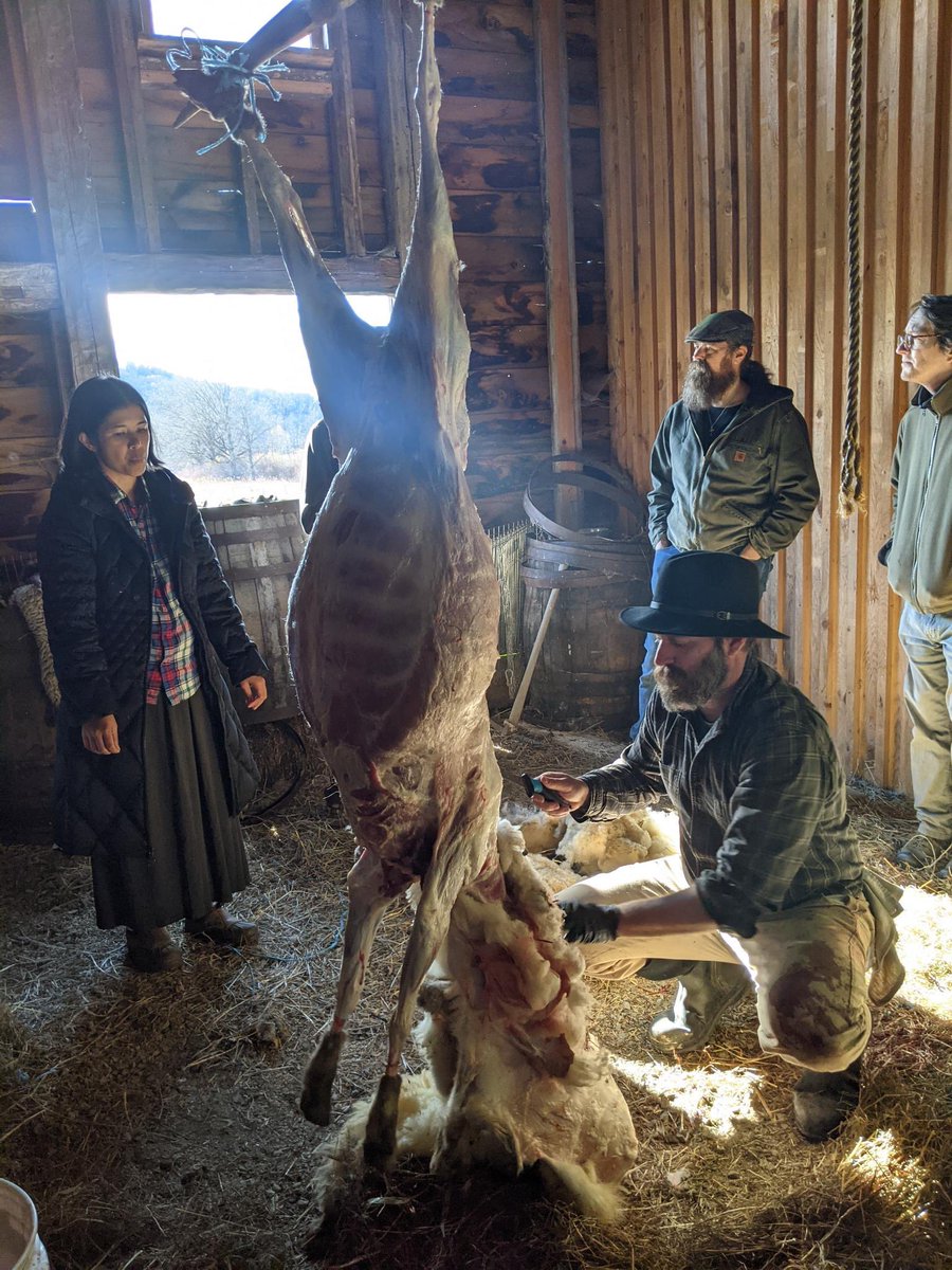 Michael Thomas of Sharon 🌳🌳🌳🐑🐕🏡 tweet media