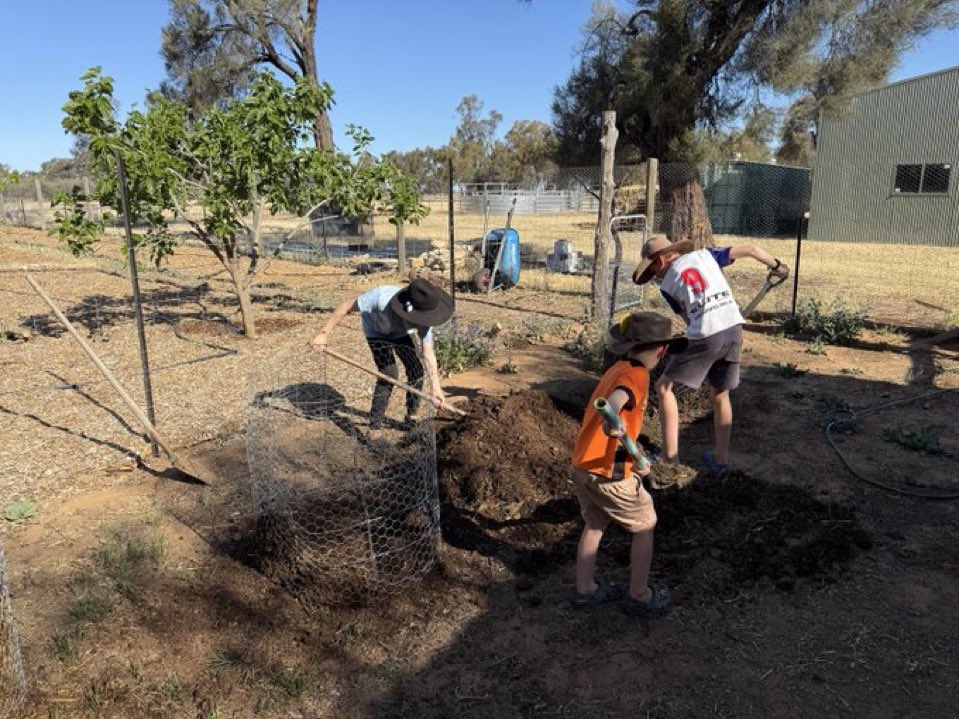 Michael Thomas of Sharon 🌳🌳🌳🐑🐕🏡 tweet media