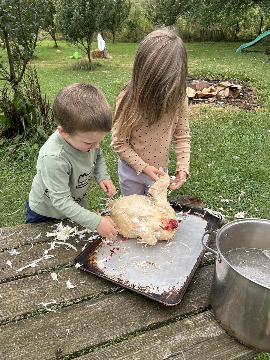 Michael Thomas of Sharon 🌳🌳🌳🐑🐕🏡 tweet media