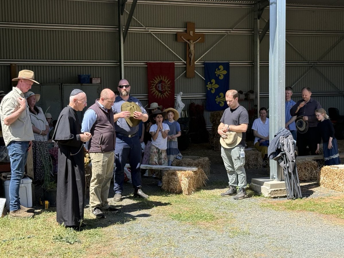 Michael Thomas of Sharon 🌳🌳🌳🐑🐕🏡 tweet media