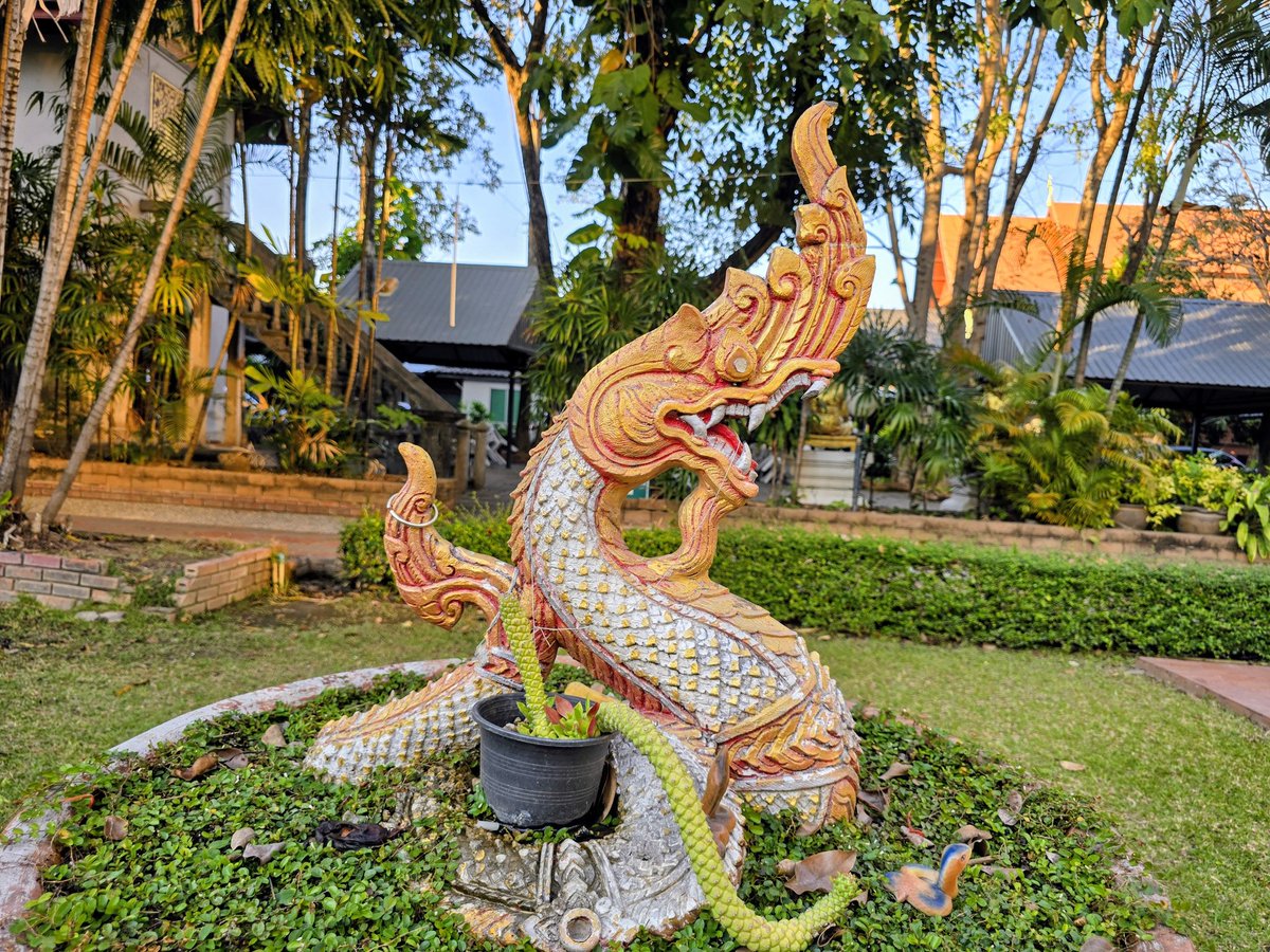 タイのチェンマイ旧市街のど真ん中にある3大寺院のひとつ｢ワット・プラシン｣🇹🇭

黄金に輝く仏塔が印象に残る寺院で、その仏塔から飛び出したゾウさんも更に気になる存在でした🐘

寺院の庭のあちらこちらに変わった装飾品があって、飽きることがない神秘的な空間でした✨