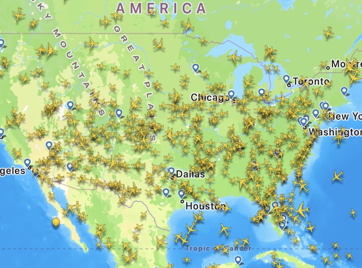 Marsh Fox tweet media