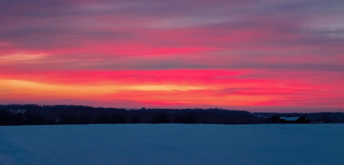 LeeBohlmanPhotography/NFT.NYC 2025 tweet media