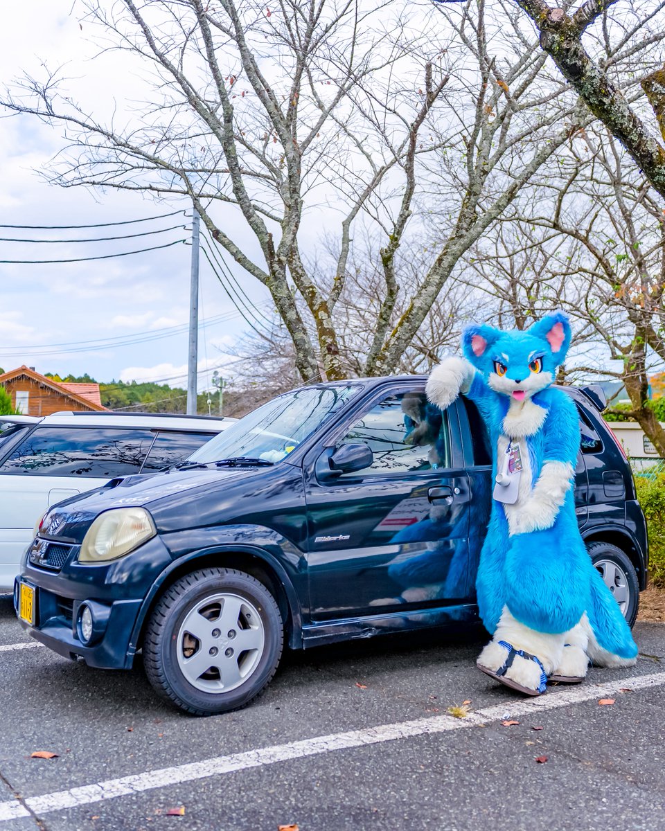 青星(Sirius) tweet media