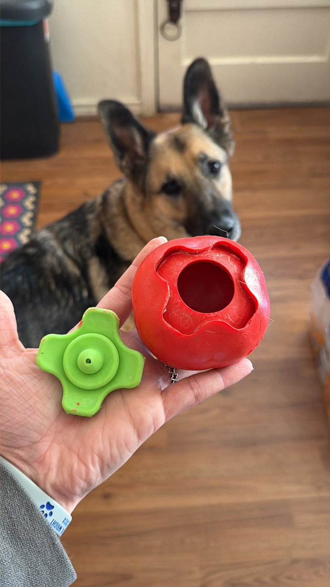 RebelKatie tweet media