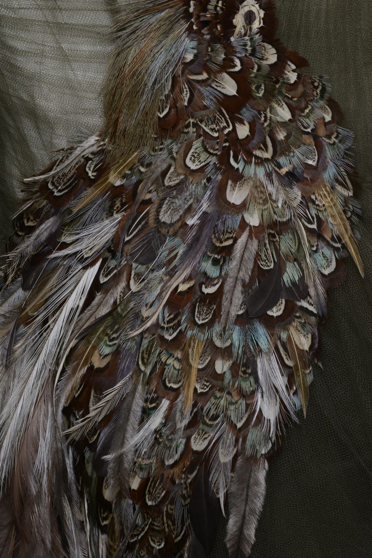 La Mode Unknown tweet media