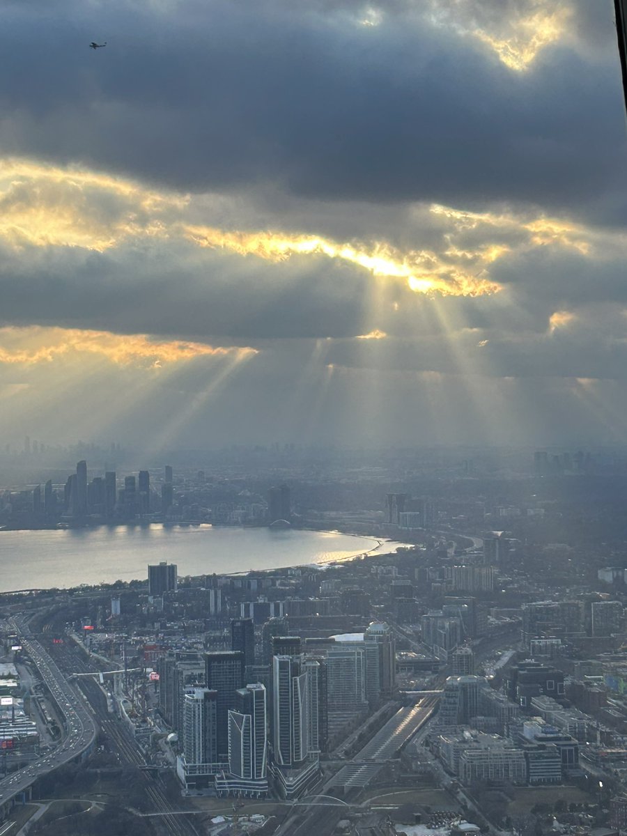 ColeWuff 🐺 🔜 FC26 tweet media