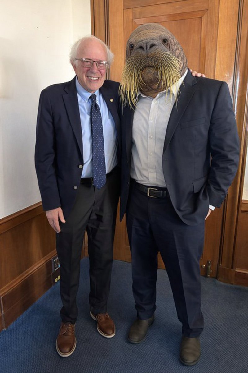 Anxious Octopus, Smug Jew🐙 tweet media