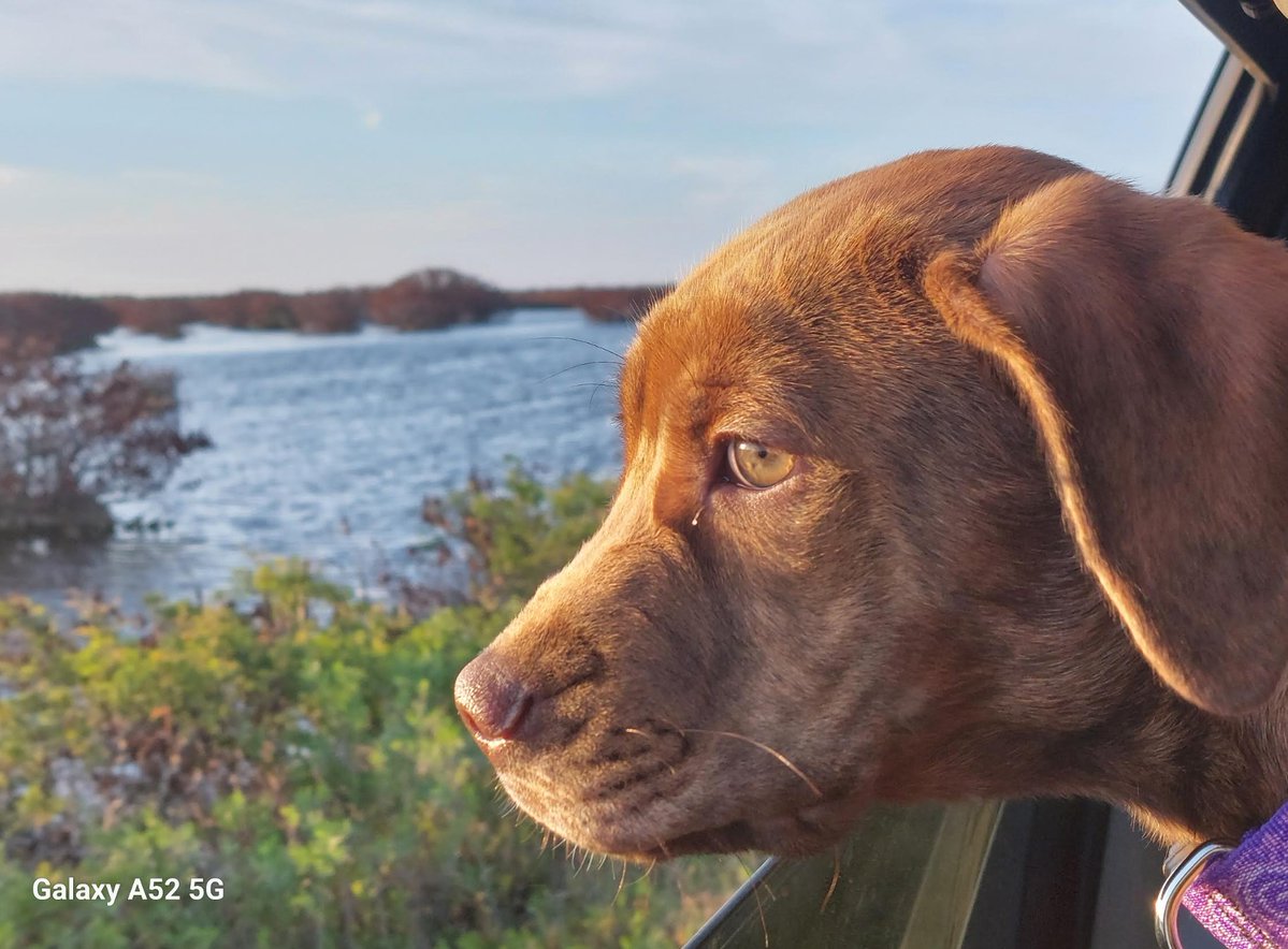 JamesKaneInFlorida tweet media