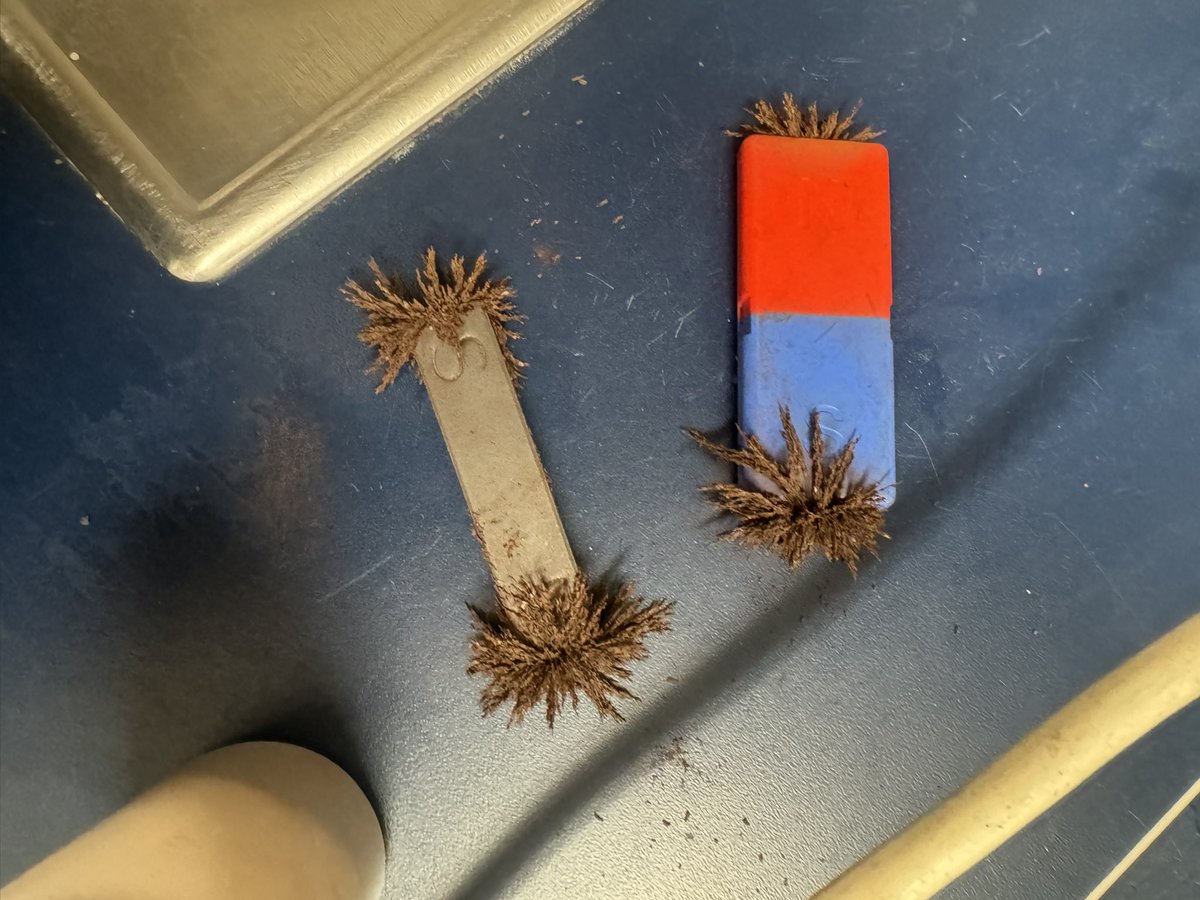 Ms. Bervine ✨ tweet media