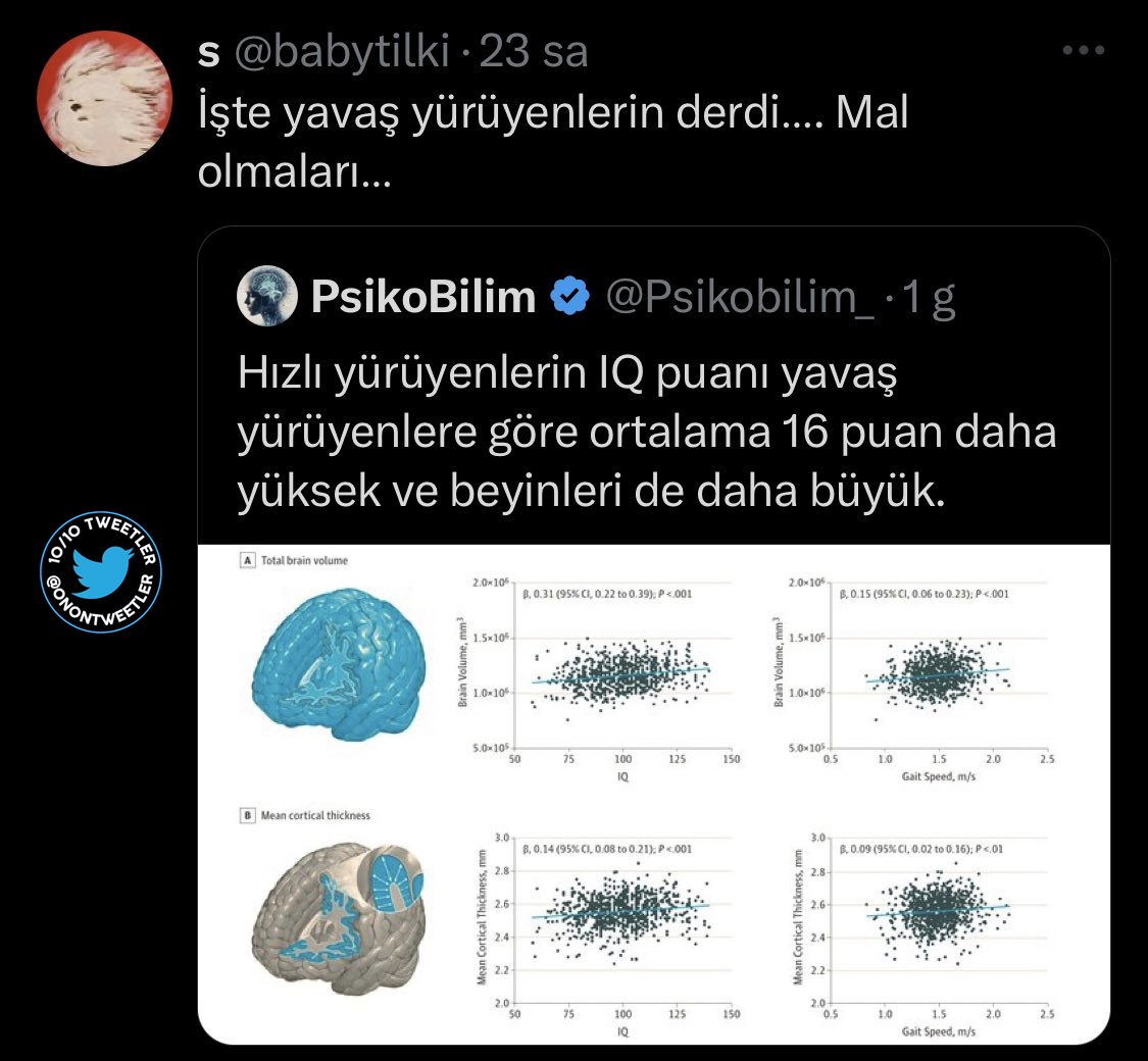 belim vidalandı imdat tweet media