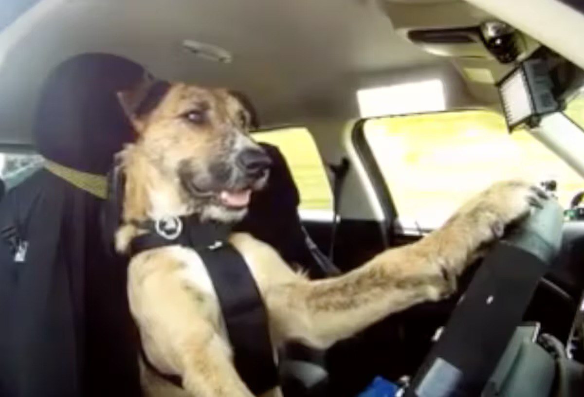 Formula 1 tweet media